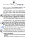 Vista preliminar de documento RGSR Nº 373.pdf
