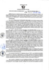 Vista preliminar de documento RGSR Nº 379.pdf