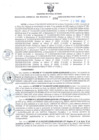 Vista preliminar de documento RGSR Nº 384.pdf