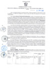 Vista preliminar de documento RGSR Nº 385.pdf