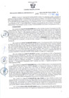 Vista preliminar de documento RGSR Nº 386.pdf