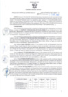 Vista preliminar de documento RGSR Nº 387.pdf