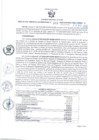 Vista preliminar de documento RGSR Nº 391.pdf