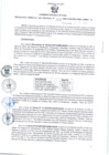 Vista preliminar de documento RGSR Nº 392.pdf