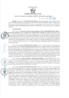 Vista preliminar de documento RGSR Nº 393.pdf