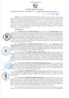 Vista preliminar de documento RGSR Nº 396.pdf