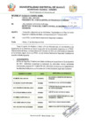 Vista preliminar de documento PLAN DE ACCION  CODISEC.pdf