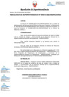 Vista preliminar de documento RESOLUCION DE SUPERINTENDENCIA-000313-2022-MIGRACIONES