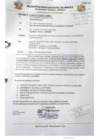 Vista preliminar de documento PLAN DE ACCION DE SEGURIDAD CIUDADANA (2).pdf