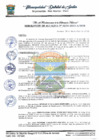 Vista preliminar de documento alcaldia 238.pdf