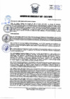 Vista preliminar de documento AC_007_2021.pdf