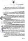 Vista preliminar de documento RGSR Nº 361.pdf