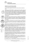Vista preliminar de documento DECRETO DE ALCALDIA NÃ_Â° 009-2022_CM_MDSJL.pdf