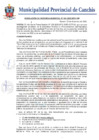 Vista preliminar de documento RGM381.PDF