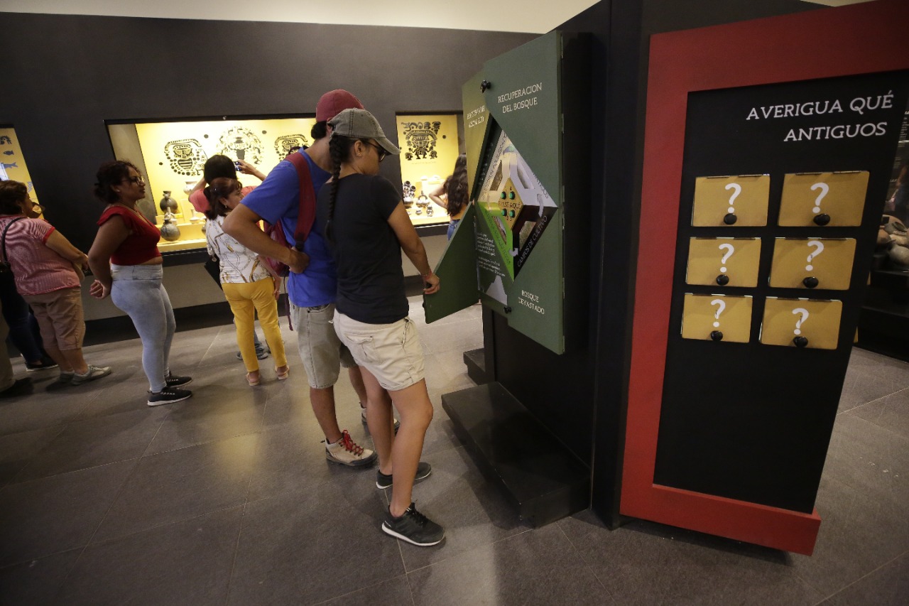 Inicia el 2023 visitando los "Museos Abiertos"