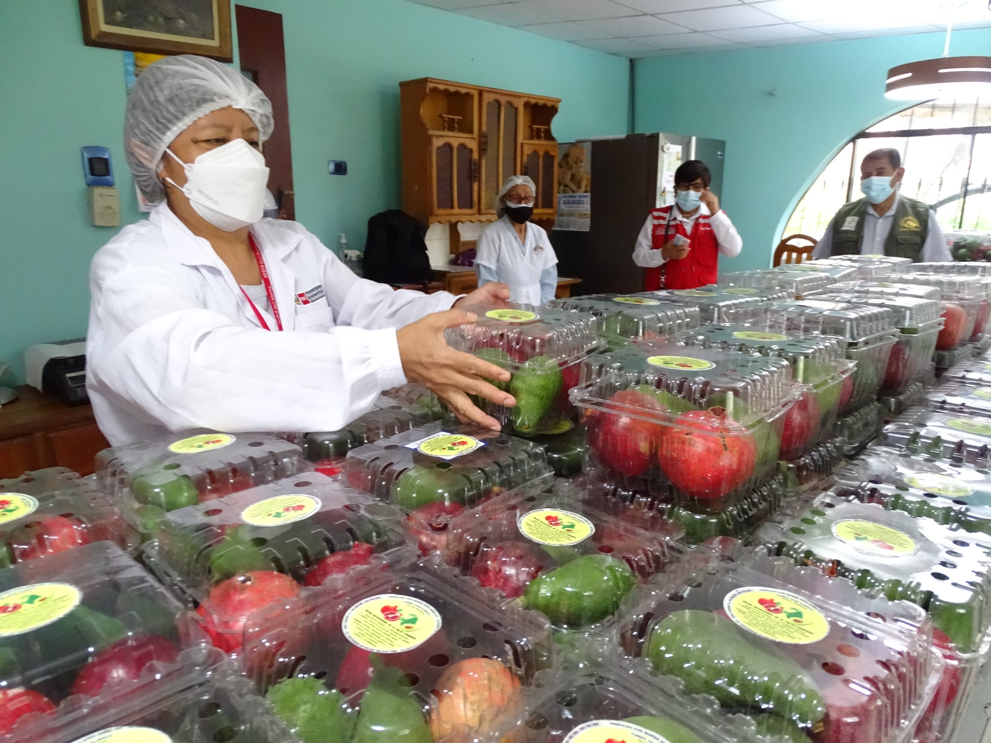 Entrega de alimentos frescos Ica (2).jpg