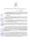 Vista preliminar de documento RES N°625-2022-GRDS
