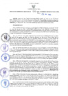 Vista preliminar de documento RES N°630-2022-GRDS