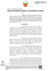 Vista preliminar de documento RGR N° 142 2022 GRLL GGR GRI.pdf