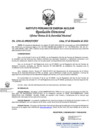 Vista preliminar de documento 2504-2022-OTAN.pdf