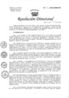 Vista preliminar de documento RESOLUCIÓN DIRECTORAL N°341-2022.pdf