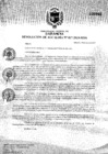 Vista preliminar de documento R.A. Nº017-2019.pdf