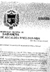 Vista preliminar de documento R.A. Nº022-2019.pdf