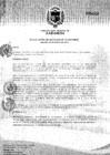 Vista preliminar de documento R.A. Nº033-2019.pdf