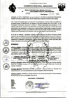 Vista preliminar de documento 1272.pdf