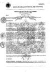 Vista preliminar de documento R.A. Nº053-2019.pdf