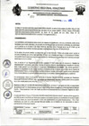 Vista preliminar de documento 174 .pdf