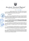 Vista preliminar de documento RDR N° 1110-2022