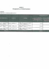 Vista preliminar de documento Anexo