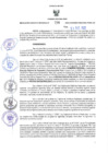 Vista preliminar de documento RER N° 799-2022
