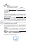 Vista preliminar de documento GM 116-2022-GM-MDMM