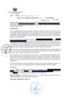 Vista preliminar de documento GM 255-2022-MDMM