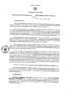 Vista preliminar de documento RES N°009-2023-GR