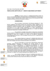 Vista preliminar de documento RJ N  181 Y ANEXO.pdf