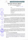 Vista preliminar de documento RDR 387-2022-GRSM/DRASAM