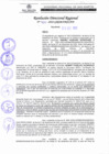 Vista preliminar de documento RDR 400-2022-GRSM/DRASAM