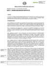 Vista preliminar de documento RDE-000293-2022-DE