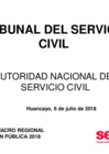 Vista preliminar de documento Tribunal del Servicio Civil