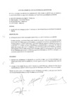 Vista preliminar de documento 2009 - Acta de la sesión n.4