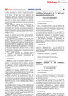 Vista preliminar de documento R.M. N° 1313-2022-MTC/01