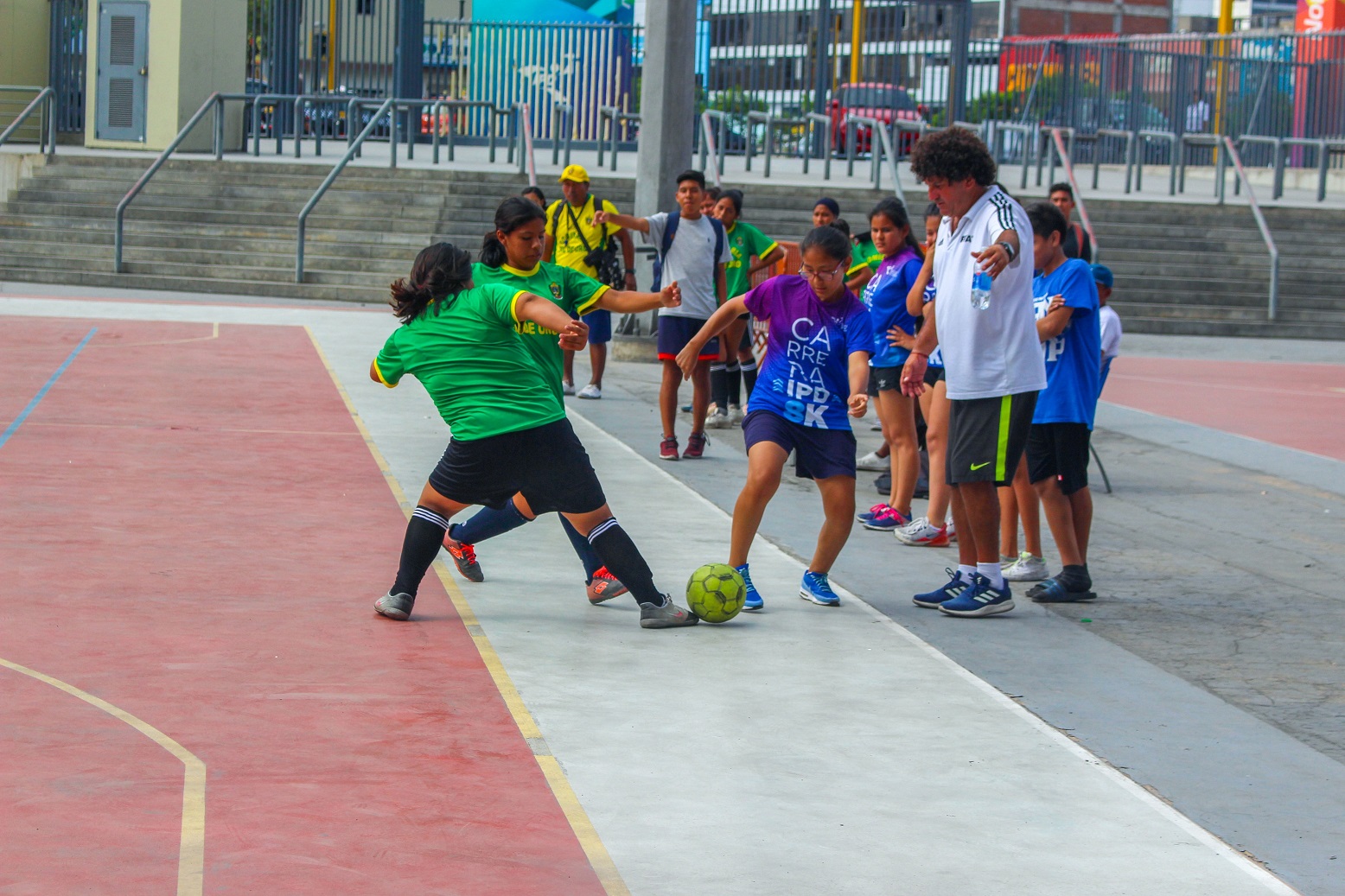 academia ipd