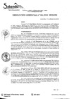 Vista preliminar de documento RES. GERENCIAL N° 004-2020.pdf