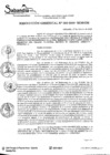 Vista preliminar de documento RES. GERENCIAL N° 006-2020.pdf
