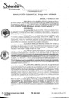 Vista preliminar de documento RES. GERENCIAL N° 008-2020.pdf