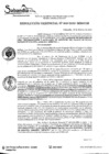Vista preliminar de documento RES. GERENCIAL N° 009-2020.pdf