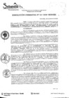 Vista preliminar de documento RES. GERENCIAL N° 011-2020.pdf